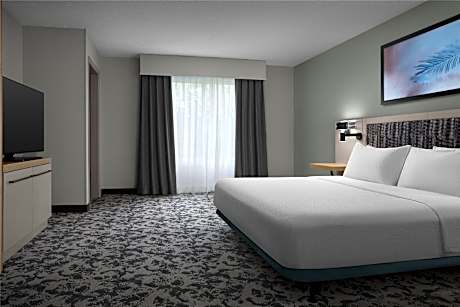 1 KNG 1 BDRM STE MOBILITY ACCESS W/RI SHWR