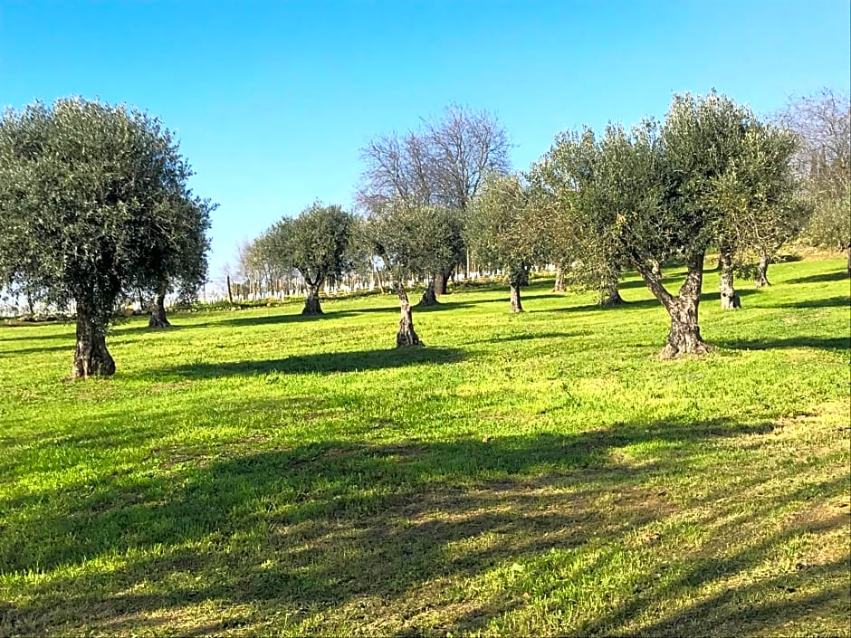 Horta da Rosa - Adults Only