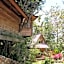 Roots Tree House