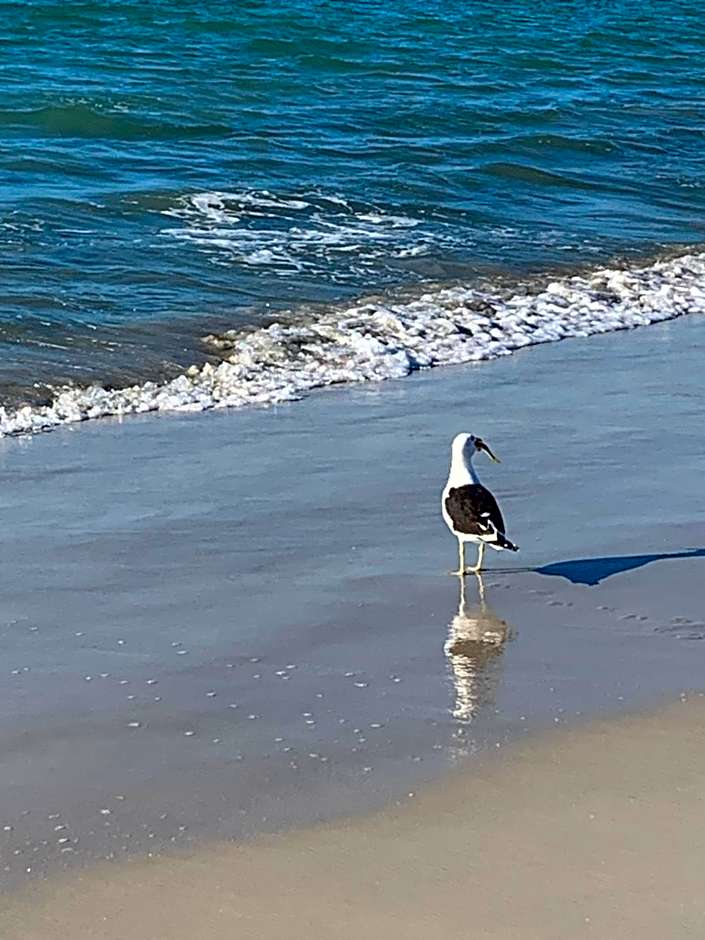 Canascenter Apart Hotel