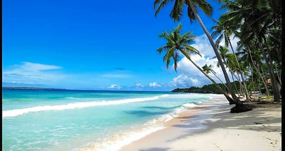 Nini's Beach Bungalows