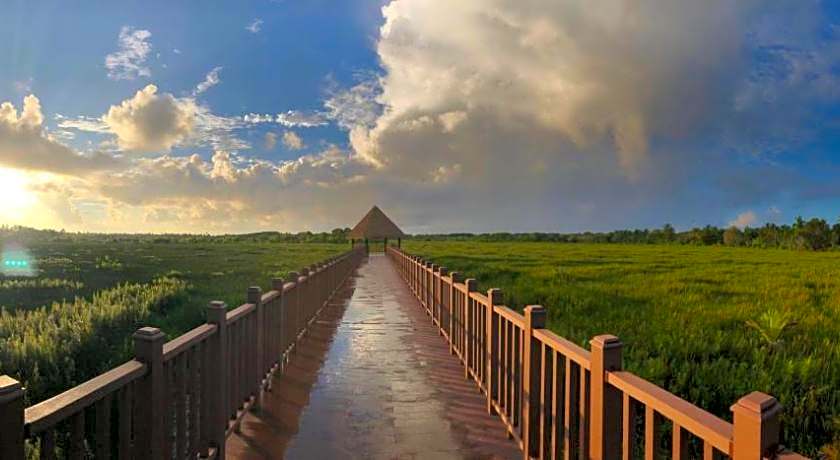 Tiger shark Residence 