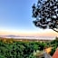 B&B Iolì Vesuvio
