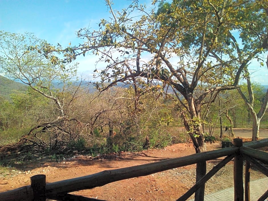 Hazyview Buffalo Game Lodge