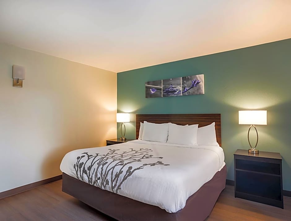 Photo 1 of 4 of 1 King Bed Suite, Accessible, Roll in Shower