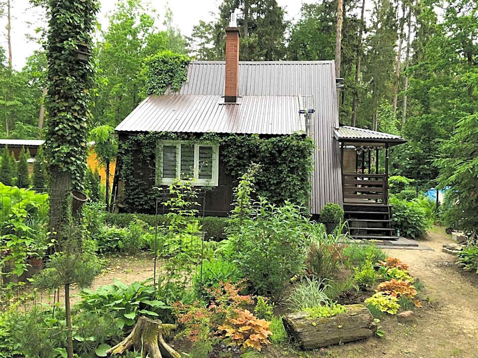 Letnisko SYMSAR 6, Drewniany domek letniskowy z ogrodem