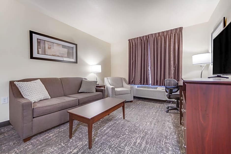 Cobblestone Inn & Suites-Fremont