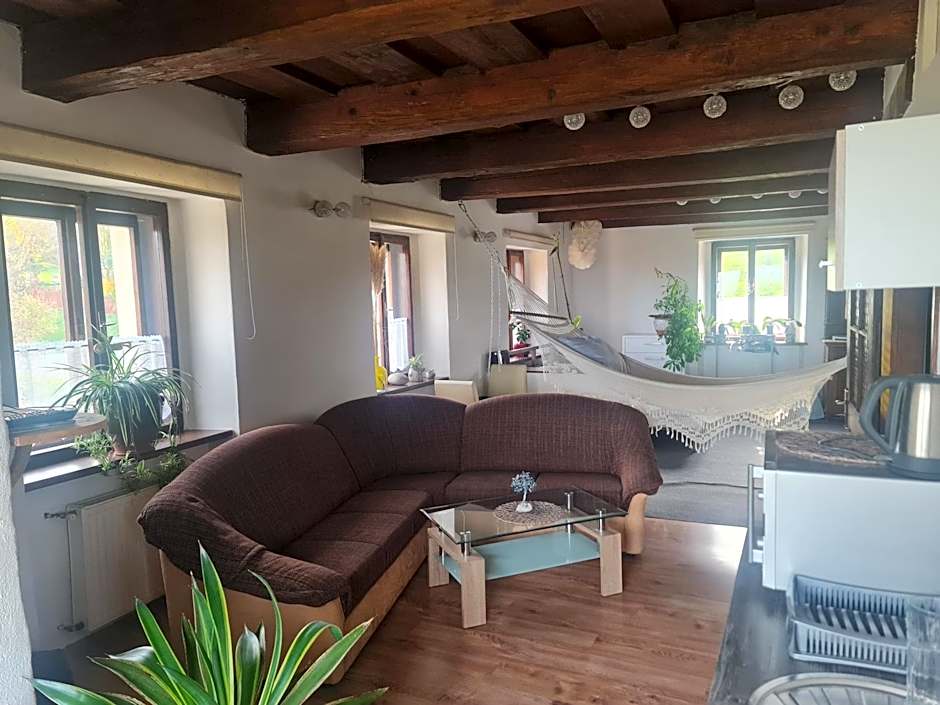 Apartments with view