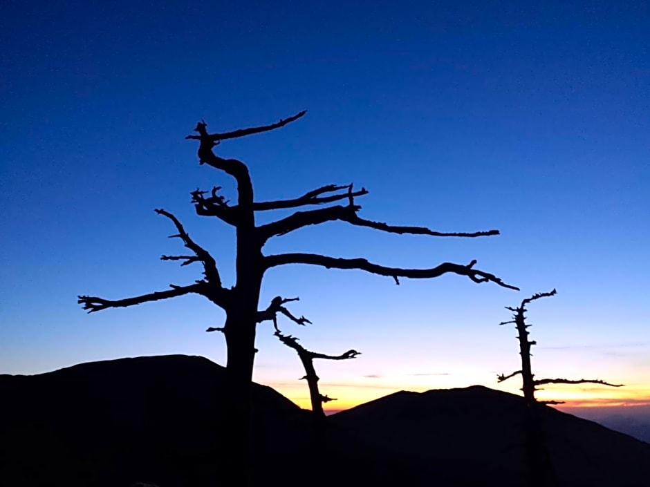 Tana Libera Tutti 1 Nature, Yourself, Love