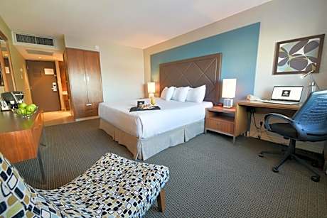 Superior Room with 1 king bed