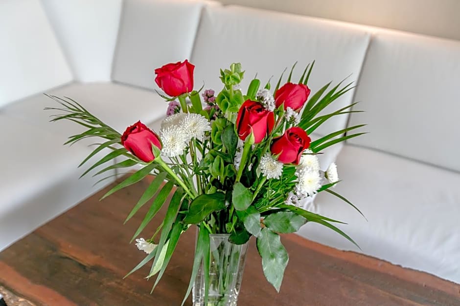 Alma De Flores Private Pools Suites