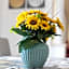 Vinyl Flat Bed & Breakfast - Rooms