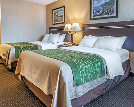 Comfort Inn On The Bay