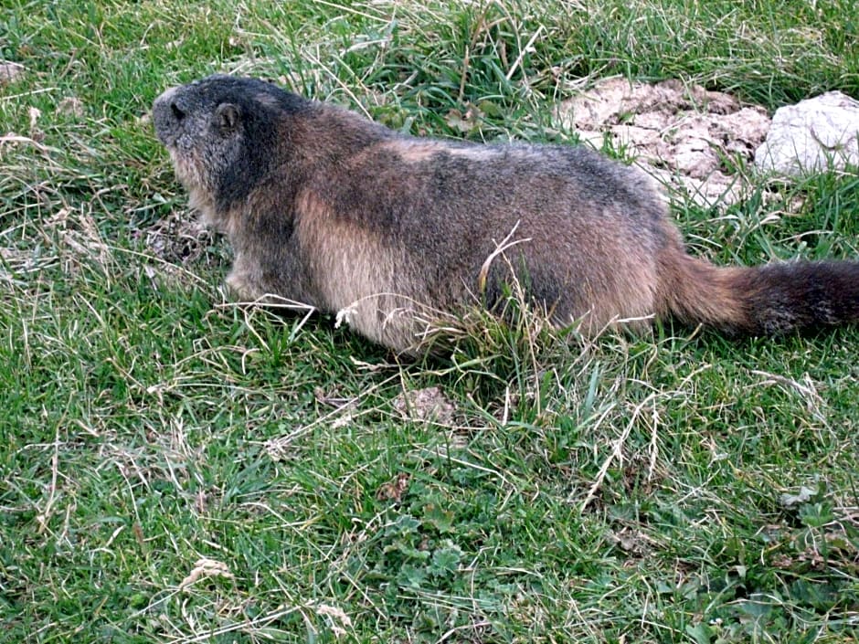 Chez Laurette et Louis