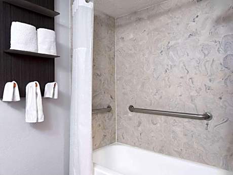 1 King Bed Suite Non-Smoking