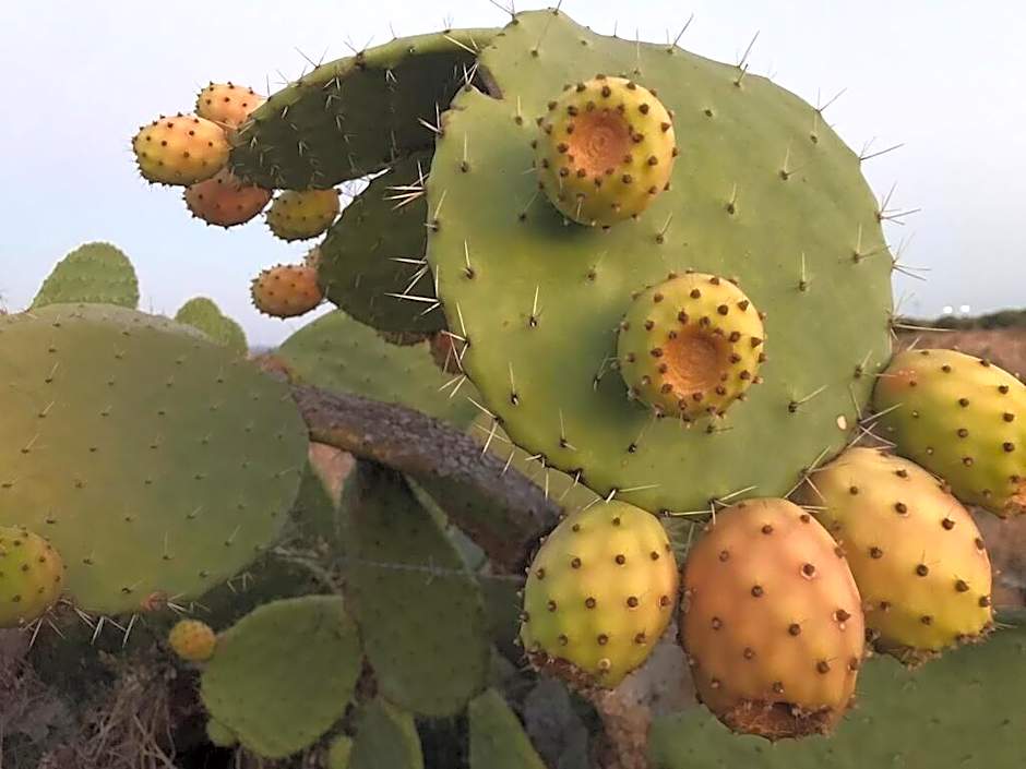 Sbarcatore Dei Turchi Dimore