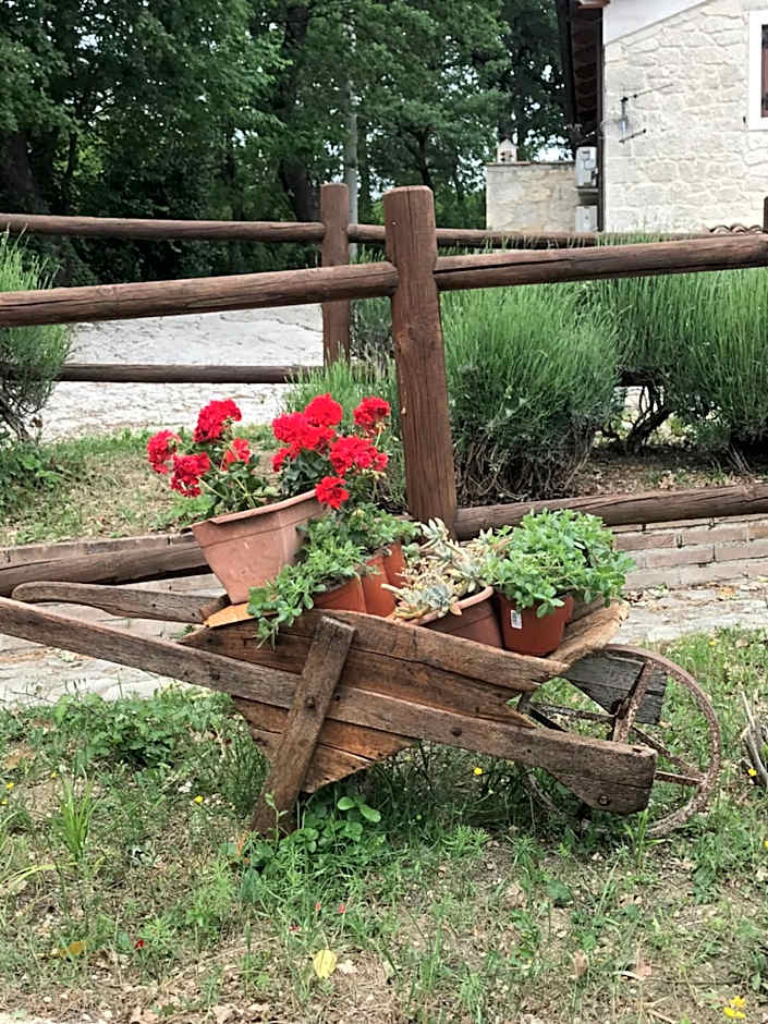 Country House Antiche Dimore