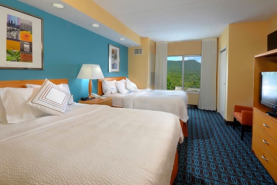 Fairfield Inn & Suites Roanoke Hollins/I-81
