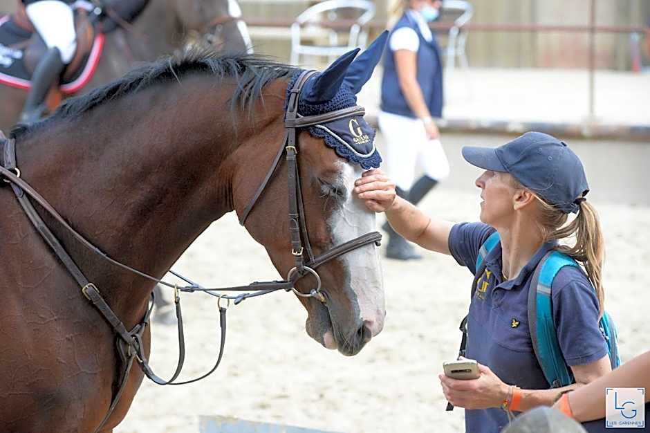 Ferme équestre & Chambres d'hôtes Gateau Stables proche Guédelon