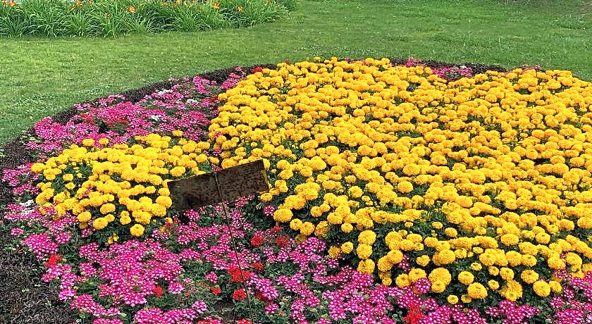 Pinetree Residency – Madurai, IL