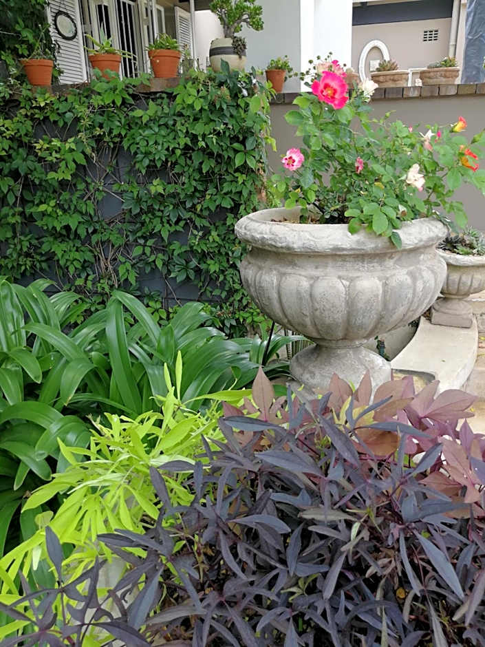 At 98 on Lynburn Guest House