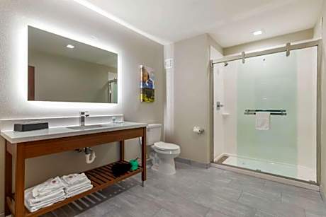 1 King Bed Suite Nonsmoking