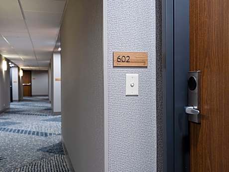 1 King Bed Studio Suite Comm Access View