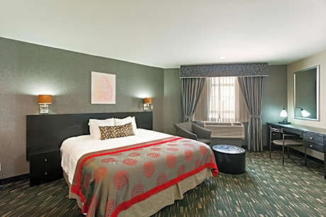Executive King Studio Suite - Non-Smoking