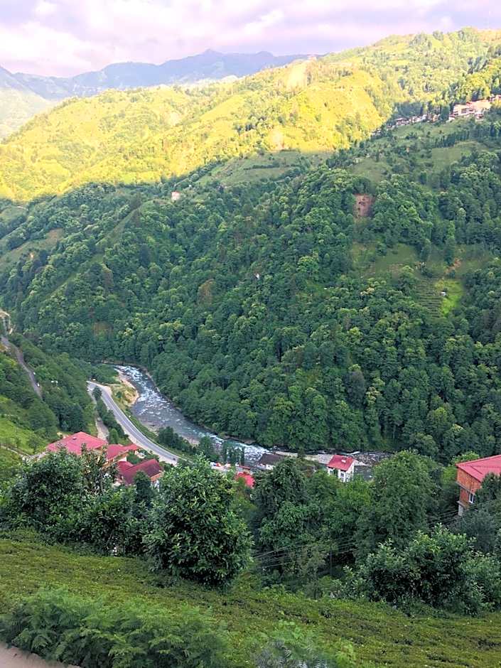 Vadi dağ evi bungalov