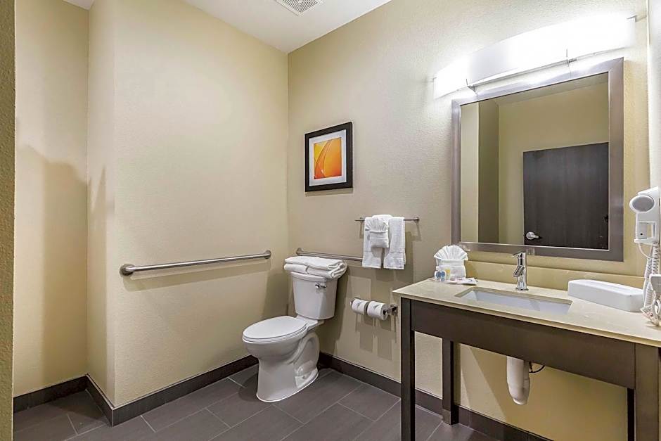 Comfort Suites Northwest Houston At Beltway 8