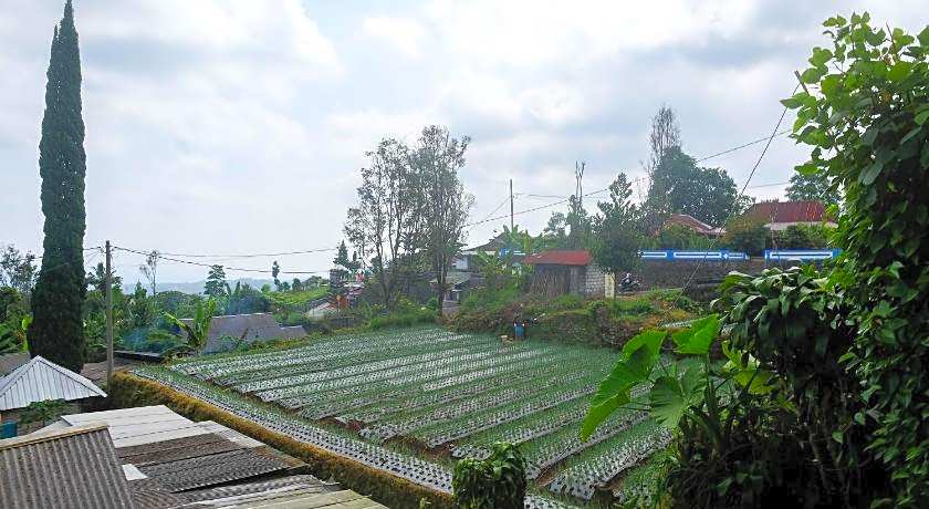 OYO 2162 Pondok Wisata Sri Widodo