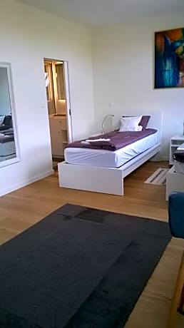 Double or Twin Room with Garden View