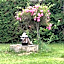 Holiday home Villa Castel Marie Louise