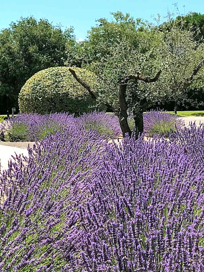 Mas De La Senancole & Spa