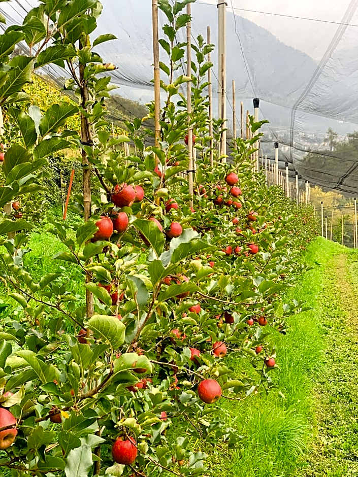 Tannerhof Bed & Breakfast