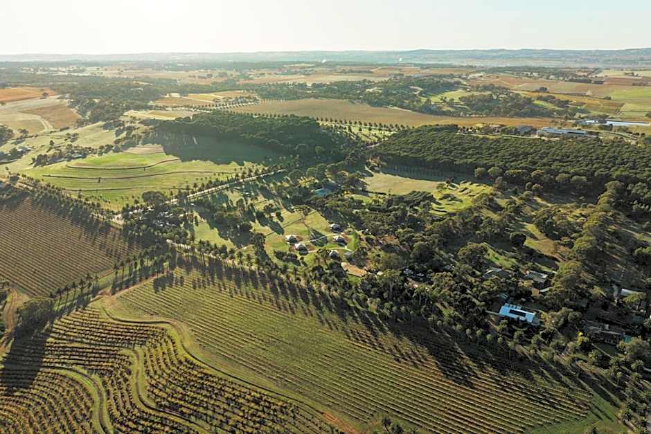 CANVS by CABN Seppeltsfield Barossa