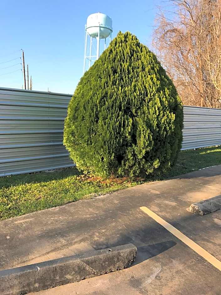 Moonlight Inn & Suites