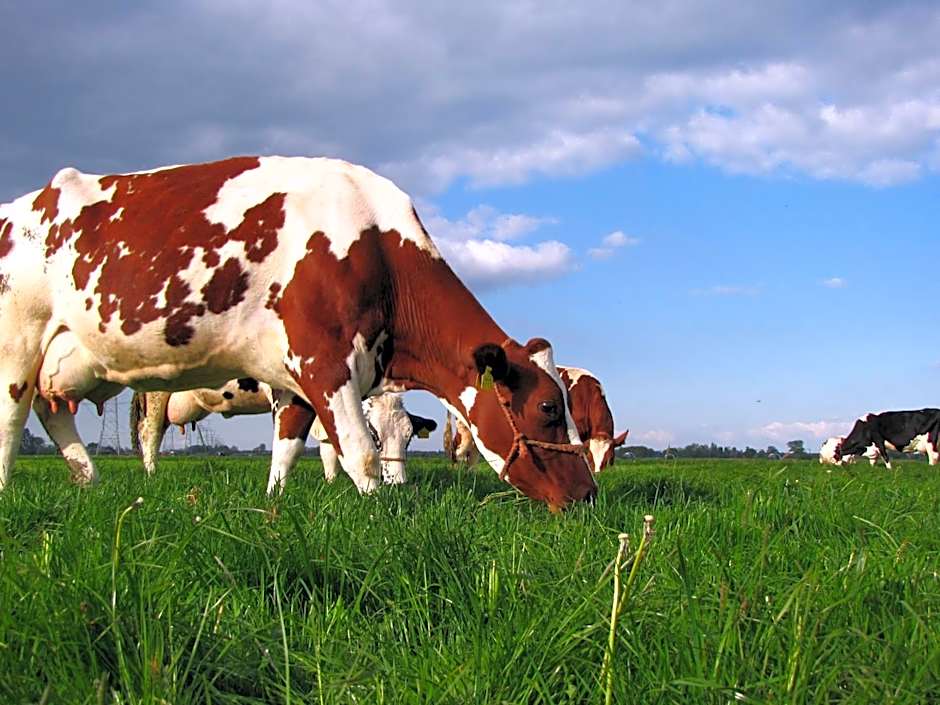 Boerderij Hazenveld