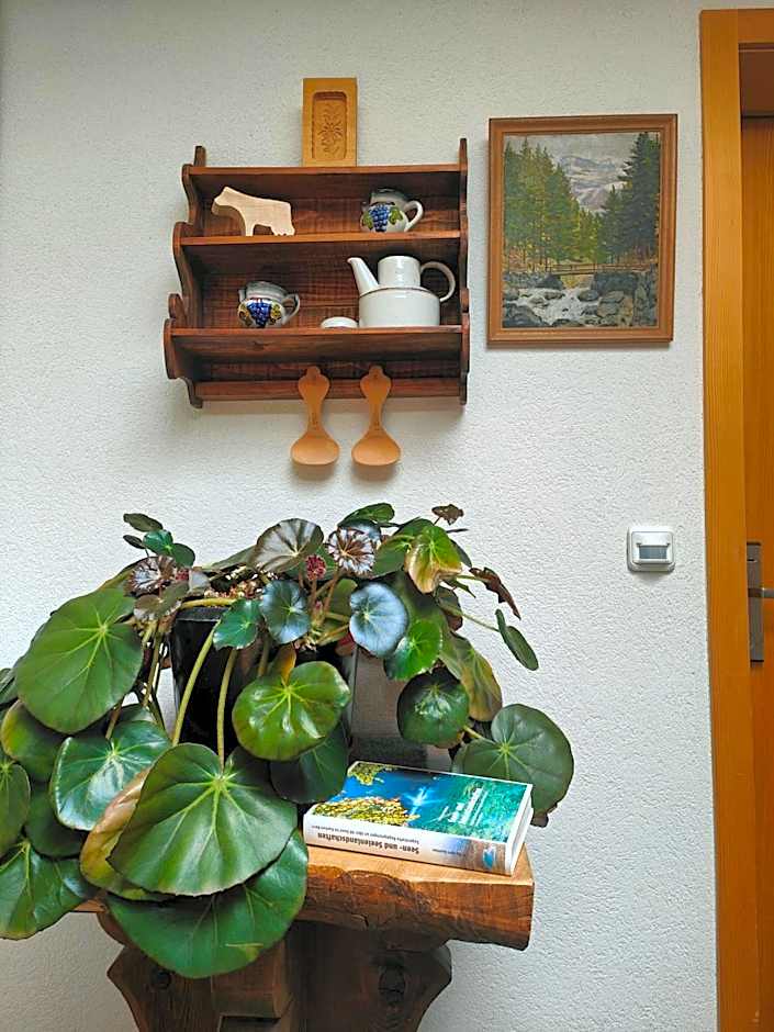 Hotel Wildbach Brienz