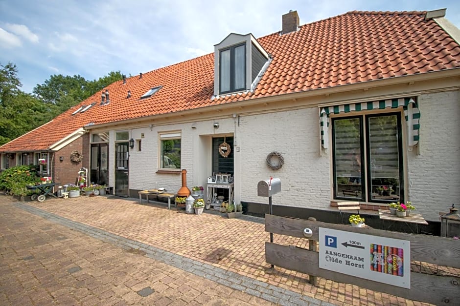 B&B Aangenaam - Olde Horst Diever