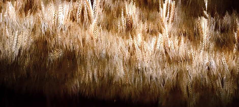 Hotel M Soleil - Montpellier Centre Saint Roch