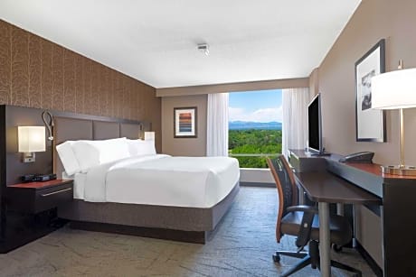 1 King Bed With Mountain View