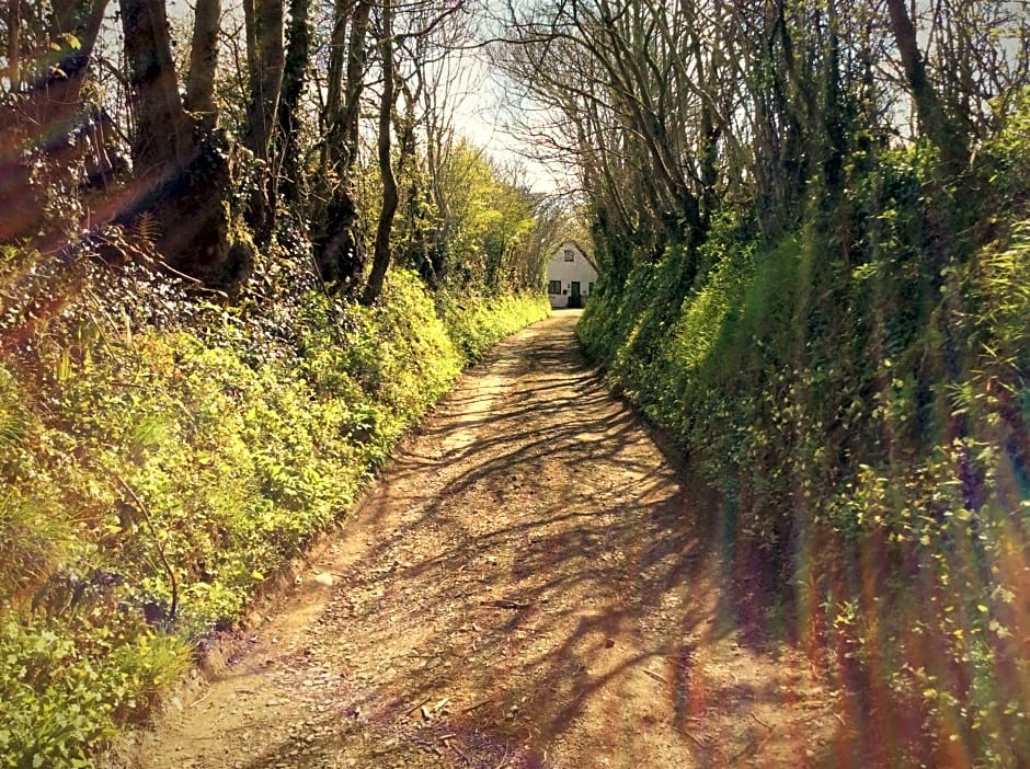 Bosvean House Bed & Breakfast