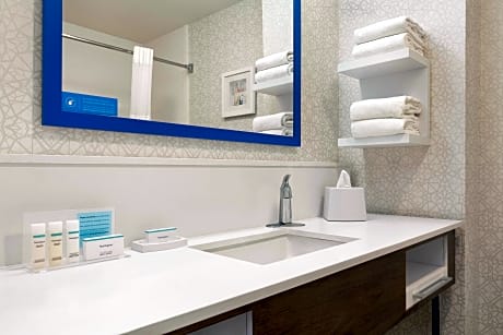 1 King Mobility/Hearing Acc Ri Shower Nosmok