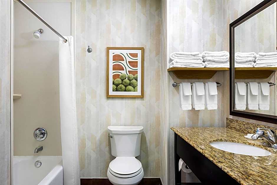 Hampton Inn By Hilton And Suites Hope