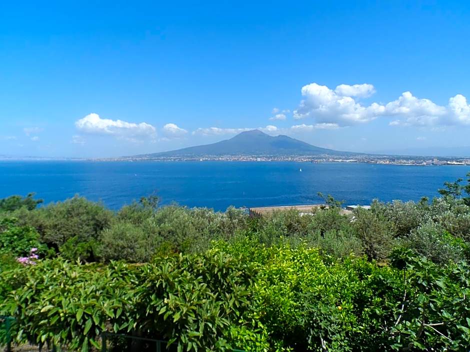 Ancelle Sorrento - Casa d'Accoglienza