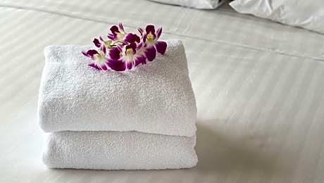 Deluxe Queen Room with Two Queen Beds