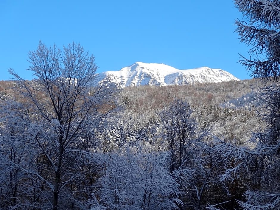 Maison d'hôtes l'Arnica