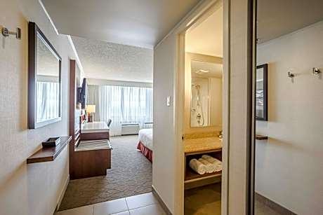 Guest room, 1 King, Sofa bed