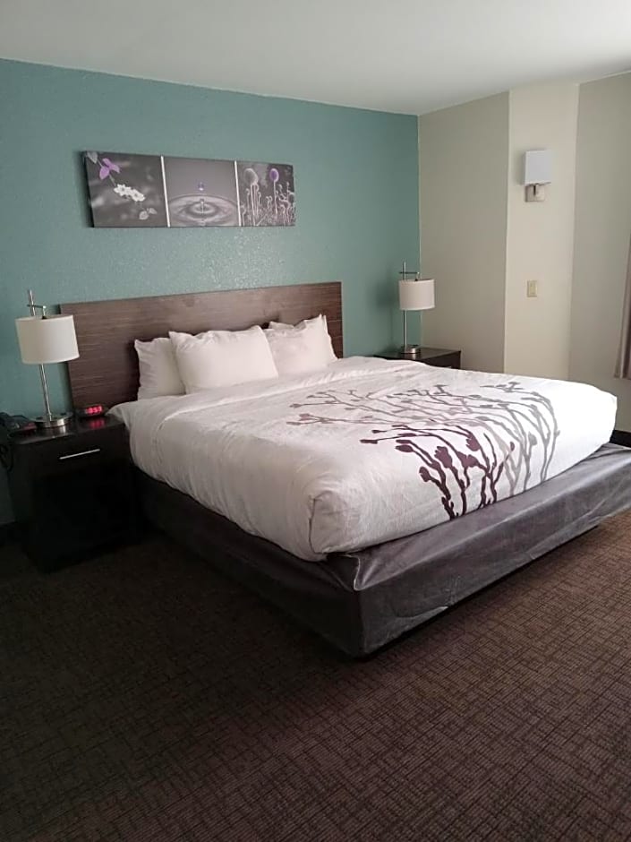 Sleep Inn & Suites Kingsport